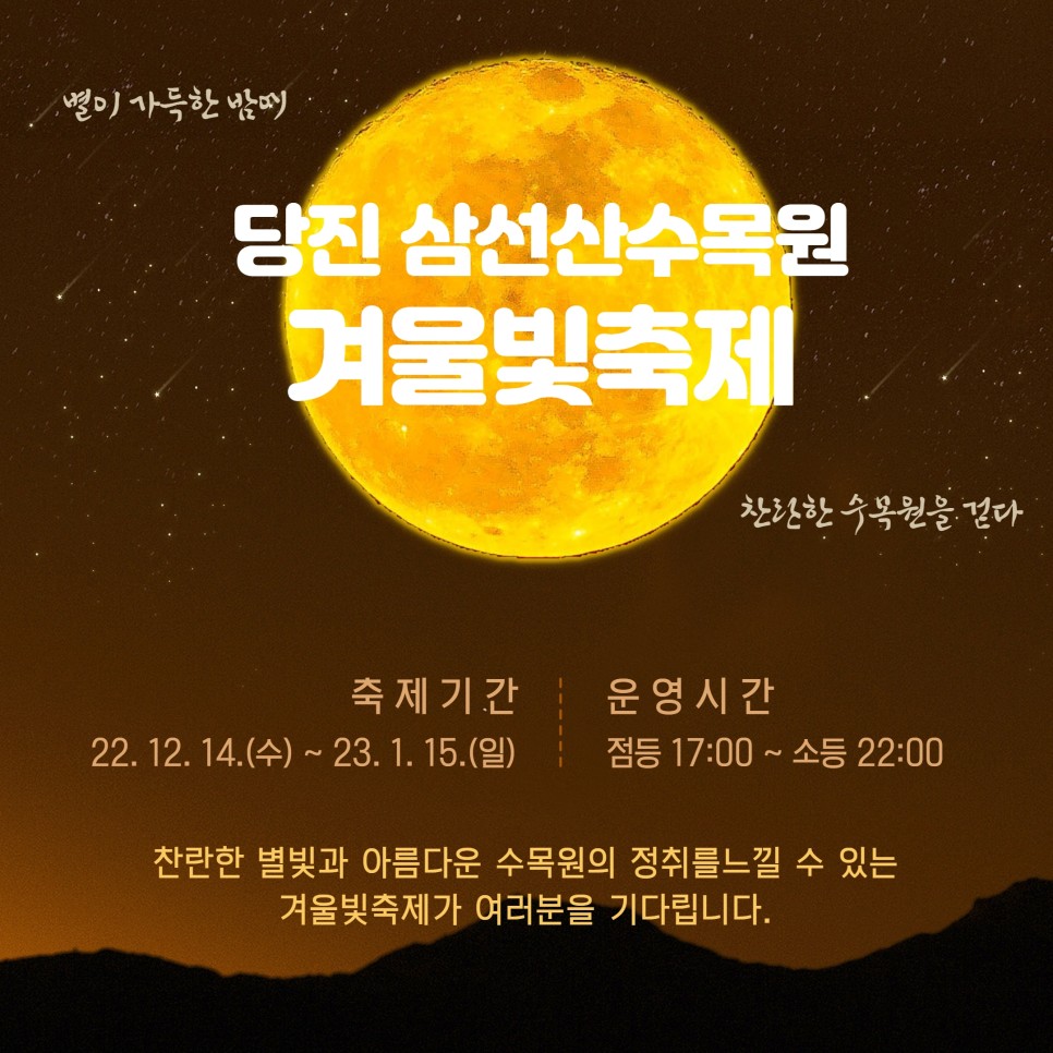 당진 삼선산수목원, 겨울빛축제 야간 개장 이미지