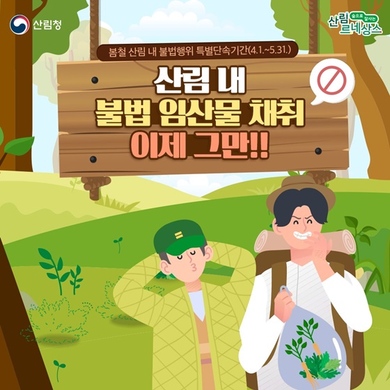 산림 내 불법 임산물 채취 이제 그만!봄철 산림 내 불법행위 특별단속 안내