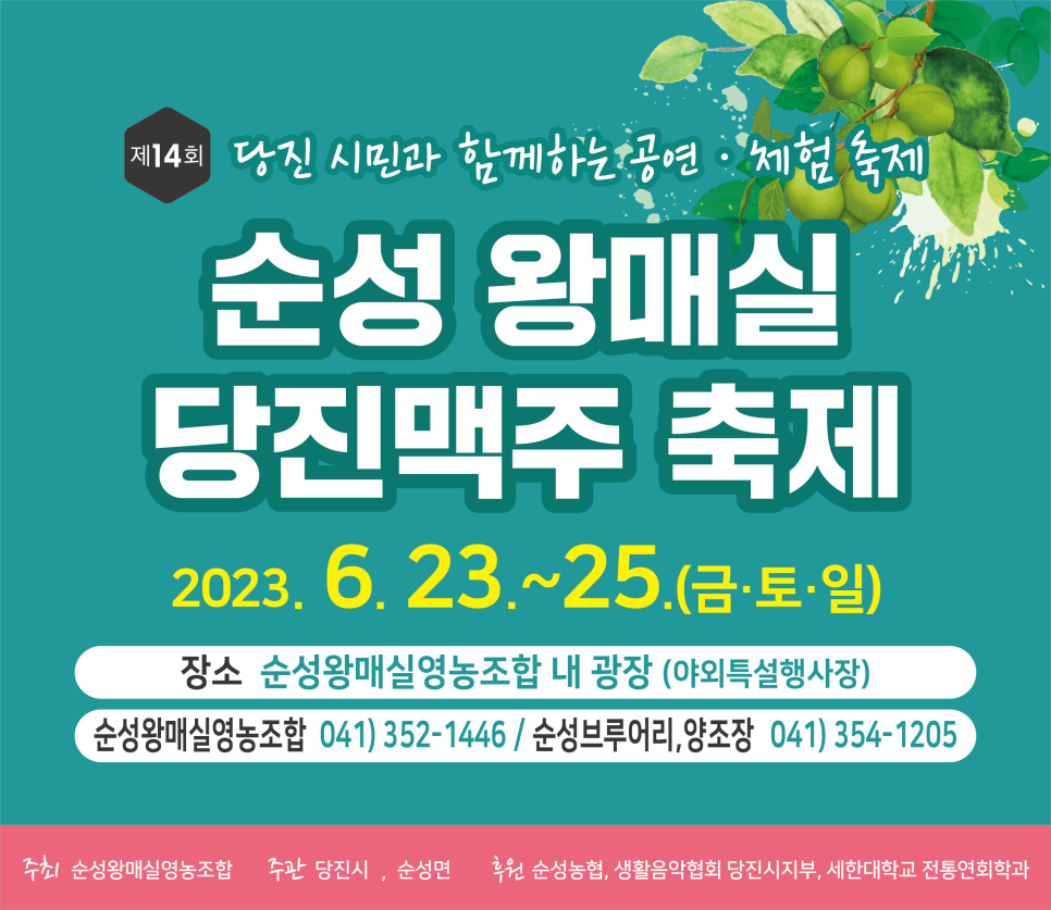 당진시, 제14회 순성 왕매실 당진맥주 축제 안내 이미지