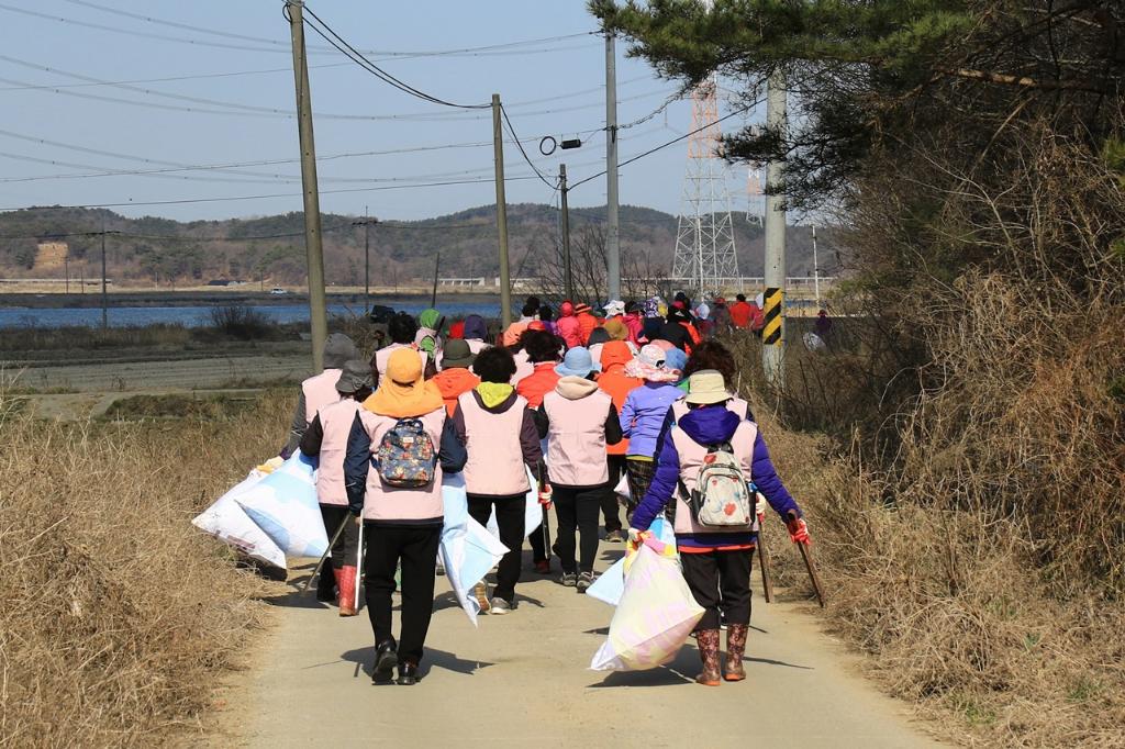 고대면 여성 단체들의 봄맞이 환경정화활동 이미지