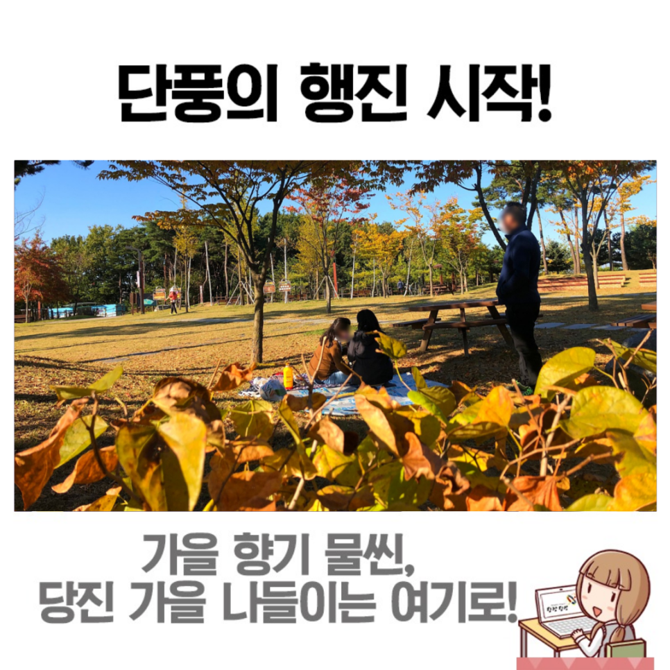 가을 향기 물씬, 계림공원