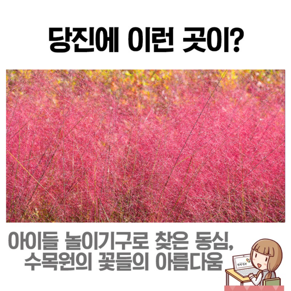 삼선산수목원에서 만나는 동심과 아름다움