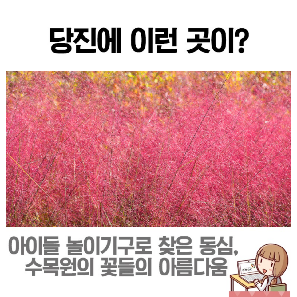 삼선산수목원에서 만나는 동심과 아름다움 이미지