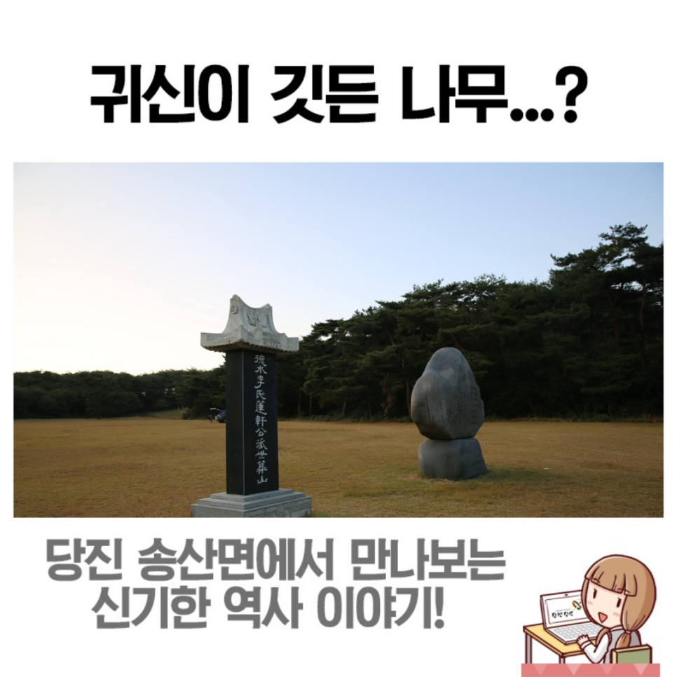 덕수 이씨의 흔적을 만나는 송산면의 신도비와 회화나무