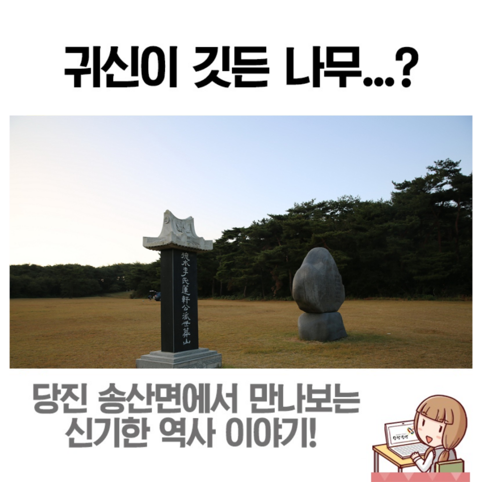 덕수 이씨의 흔적을 만나는 송산면의 신도비와 회화나무 이미지