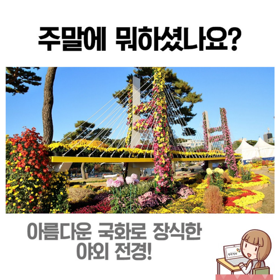 당진시청 잔디광장 만 송이의 국화 이미지