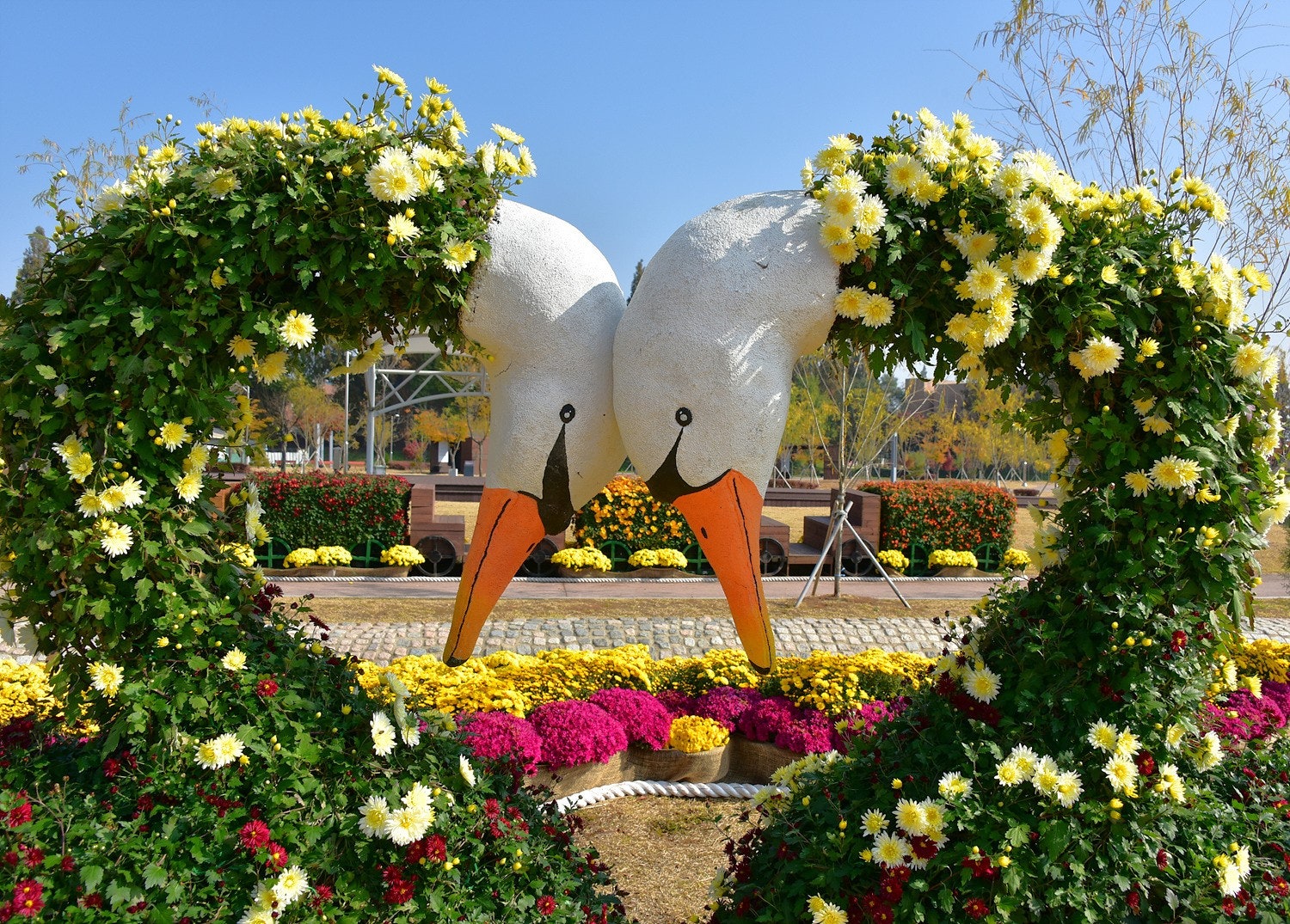 당진 국화 전시회에서 가을 여행을 하였어요!!