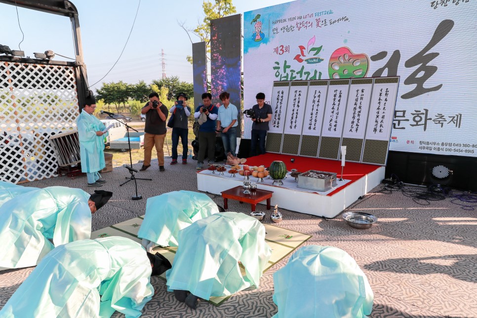 당진 합덕제 연호문화축제 : 여름밤이 분홍빛으로 물들다! 이미지