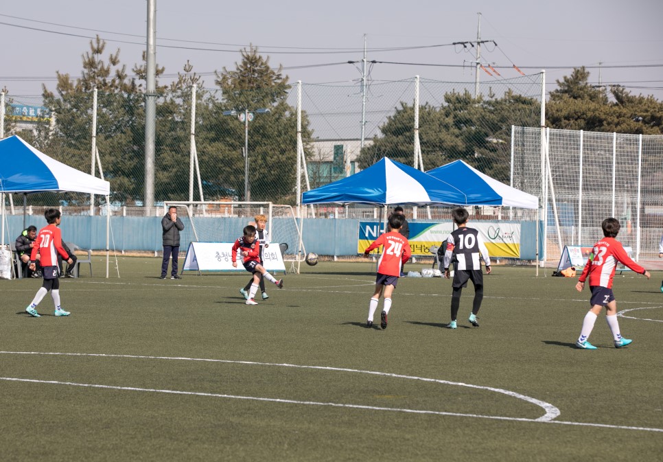 당진 해나루컵 리틀K리그 전국 유소년 축구대회 현장 이미지