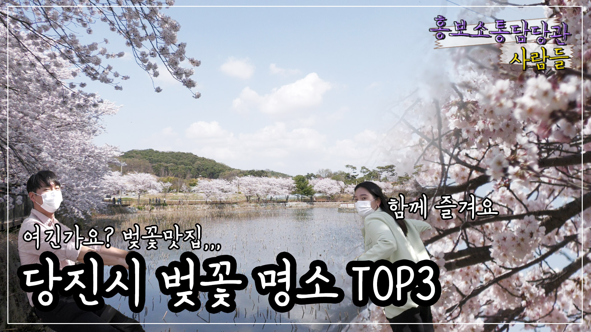 이제 내년을 기다려야 하나요? 당진시 벚꽃 명소 TOP3 함께 즐겨요!#당진천#골정지#구절산 이미지