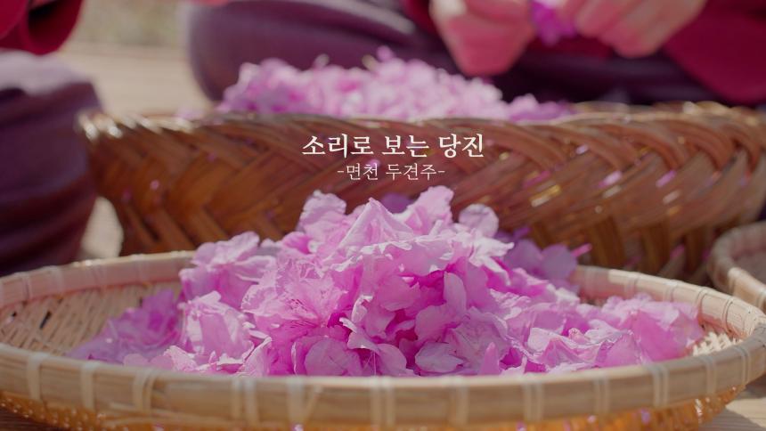 [4K ASMR] 소리로 보는 당진, 면천 두견...