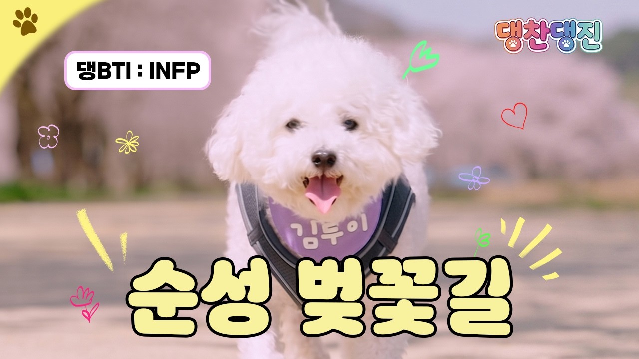 루이와 함께하는 댕찬댕진 [당진 순성 벚꽃길] 이미지