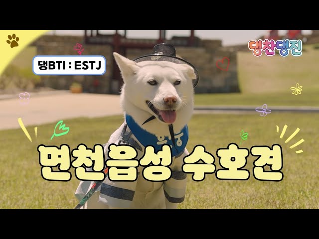 흰둥이와 함께하는 댕찬댕진 [면천읍성 수호견] 이미지