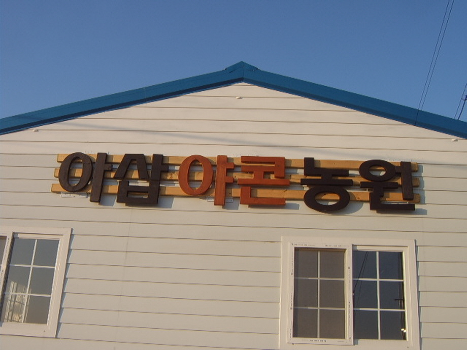 아삽야콘농원