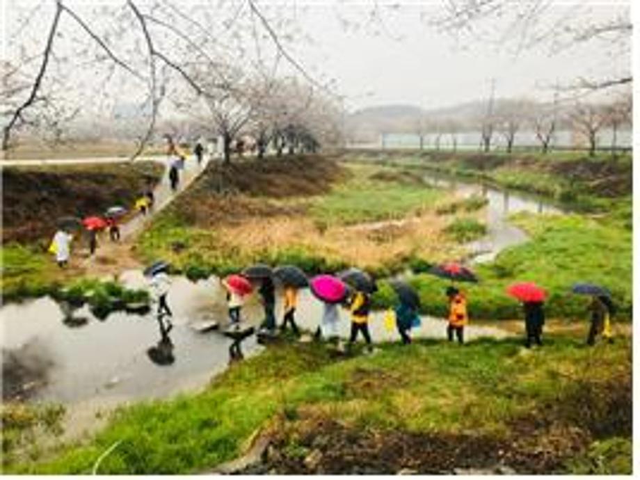당진천 벚꽃길 걷기대회